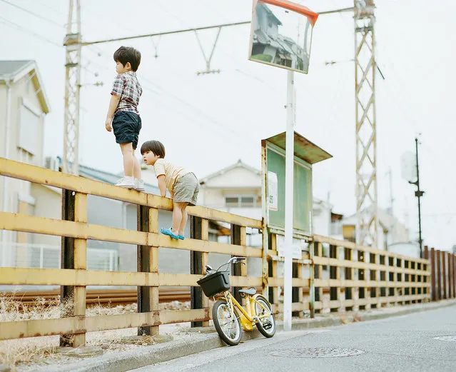 “Livin' on the edge”. (Photo and caption by Hideaki Hamada)