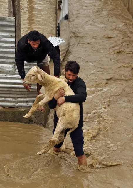 Kashmiri men evacuate a sheep from a flood affected area in Srinagar, Indian-controlled Kashmir, Monday, March 30, 2015. Hundreds of Kashmiris in both India and Pakistan moved to higher ground Monday as rain-swollen rivers swamped parts of the disputed Himalayan region placed under an emergency flood alert just six months after some 600 people died in flooding that left the region in shambles. (Photo by Mukhtar Khan/AP Photo)