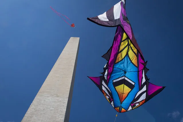 Patrons fly kites around the Washington Monument during the the 2015 Blossom Kite Festival on the National Mall in Washington, DC on Saturday March 28, 2015. (Photo by Jabin Botsford/The Washington Post)