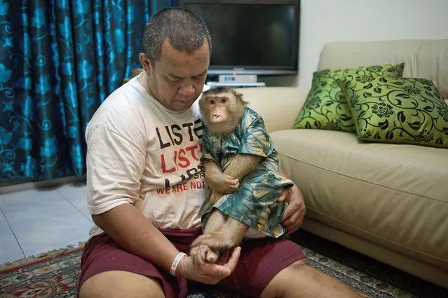 This photo taken on April 22, 2015, shows Jamil Ismail (Jamilkucing) hugging his female pet monkey named “Shaki”, dressed in a Malaysian cultural outfit called Baju Kurung, at Jamil's house in Kuala Lumpur. (Photo by Mohd Rasfan/AFP Photo)