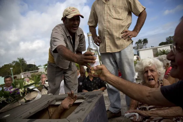 In this February 5, 2014 photo, the hand of Divaldo Aguiar, who plays the part of Pachencho, in the mock funeral known as the Burial of Pachencho, reaches for a bottle of rum from inside his coffin, at a cemetery in Santiago de Las Vegas, Cuba. (Photo by Enric Marti/AP Photo)