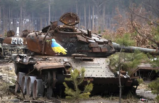 A destroyed Russian tank with an artwork depicting a dove with an olive branch by famous street artist TvBoy, amid Russia's attack on Ukraine, in the village of Dmytrivka, outside Kyiv, Ukraine Monday, January 30, 2023. (Photo by Efrem Lukatsky/AP Photo)