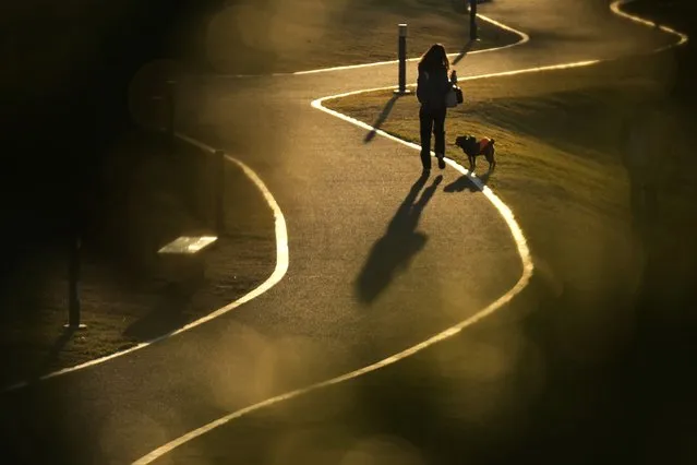 A woman walks a dog through a winding road at dusk Wednesday, November 24, 2021, in Tokyo. (Photo by Eugene Hoshiko/AP Photo)