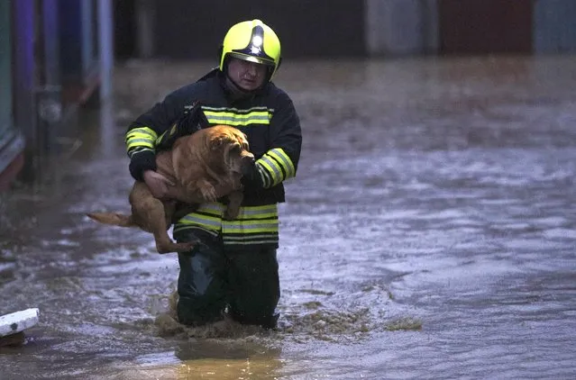 A firefighter evacuates a dog from a flooded area in northern Serb-dominated part of ethnically divided town of Mitrovica, Kosovo, Thursday, January 19, 2023. Heavy rainfall this week across the Balkans has caused rivers to rise dangerously in Serbia, Bosnia, Kosovo and Montenegro, flooding some areas and threatening flood defenses elsewhere. (Photo by Bojan Slavkovic/AP Photo)