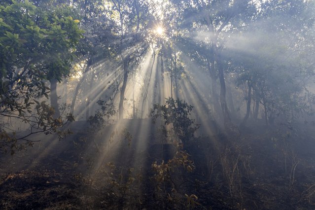 Sun rays amongst the trees during a forest fire near Godawari village, on the outskirts of Kathmandu, Nepal, 02 May 2024. In recent days, Nepal has been battling hundreds of forest fires across the country which have destroyed hundreds of homes. According to the National Disaster Risk Reduction and Management Authority, at least 10 people have been killed in the forest fires that have also caused air pollution in the capital Kathmandu. (Photo by Narendra Shrestha/EPA)