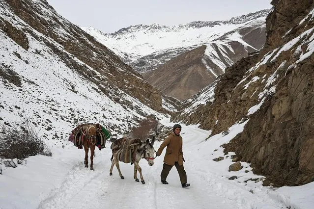 A boy leads a donkey and a horse along a hill covered with snow in Panjshir on January 12, 2022. (Photo by Mohd Rasfan/AFP Photo)