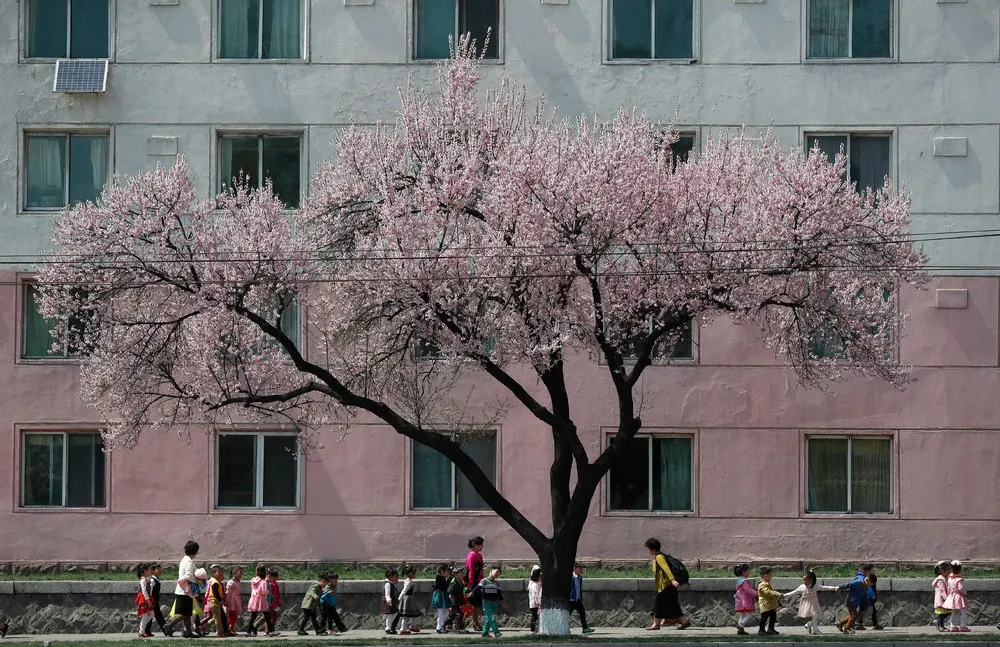 A Look at Life in Pyongyang, Part 1/2