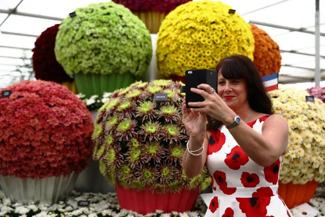 A woman in a poppy design dress photographs a display at the RHS Chelsea Flower Show in London, Britain, May 23, 2017. (Photo by Neil Hall/Reuters)