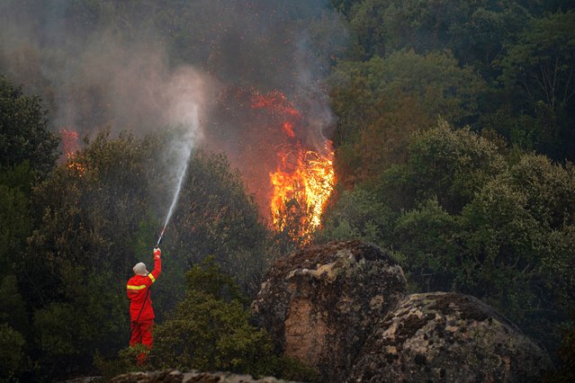 A wildfire buns in the Sassari province on August 01, 2024 in Calangianus, Sardinia, Italy. In recent weeks, Sardinia has been hit daily by violent forest fires where thousands of hectares of Mediterranean maquis have been destroyed, as well as many animal species. (Photo by Emanuele Perrone/Getty Images)