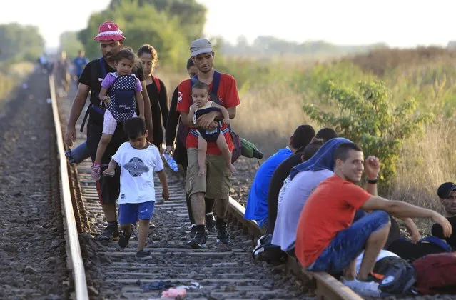 Migrants walk on a railway track after crossing the Hungarian-Serbian border near Roszke, Hungary August 27, 2015. (Photo by Bernadett Szabo/Reuters)