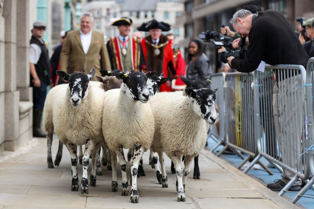 Pictures of the Year 2023, Part 175/224