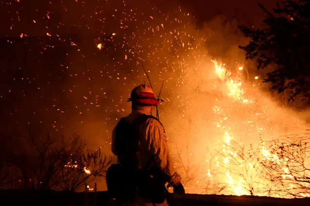 Firefighters battle the so-called Sand Fire in the Angeles National Forest near Los Angeles, California, U.S. July 24, 2016. (Photo by Gene Blevins/Reuters)