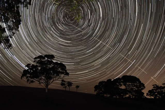 “Just Missed the Bullseye”. The International Space Station (ISS) appears to pierce a path across the radiant, concentric star trails seemingly spinning over the silhouettes of the trees in Harrogate, South Australia. (Photo by Scott Carnie-Bronca/Royal Observatory Greenwich’s Astronomy Photographer of the Year 2016/National Maritime Museum)