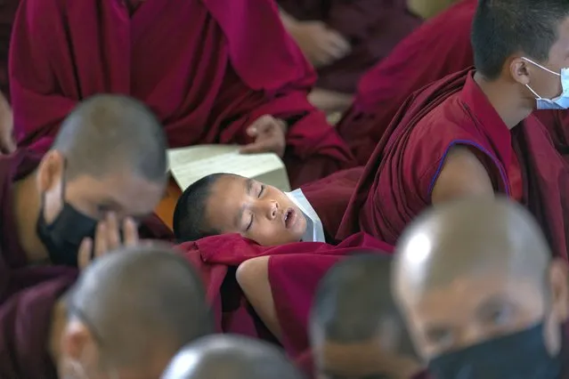 A novice Tibetan monk falls asleep before the arrival of his spiritual leader the Dalai Lama at the Tsuglakhang temple in Dharamshala, India, Monday, October 3, 2022. The Tibetan leader began a three-day religious talk on Monday, on request from a Taiwanese Buddhist group. (Photo by Ashwini Bhatia/AP Photo)