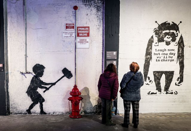 A view of the new Banksy Museum featuring reproductions of Banksy's graffiti art from around the world on January 29, 2025 in Madrid, Spain. (Photo by Pablo Cuadra/Getty Images)
