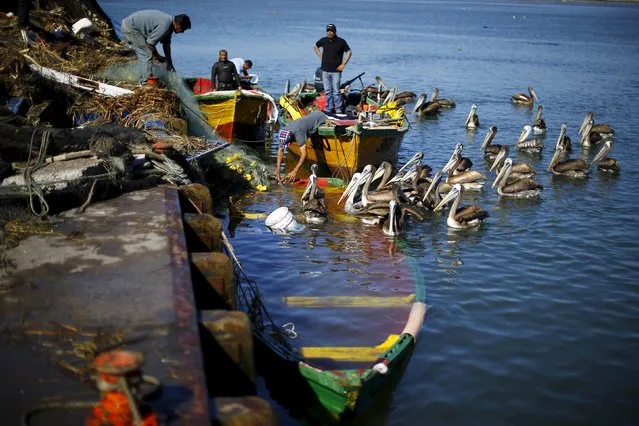 Fishermen remove a net from their sunken boat after an earthquake hit areas of central Chile, in Coquimbo city, north of Santiago, Chile, September 17, 2015. (Photo by Ivan Alvarado/Reuters)