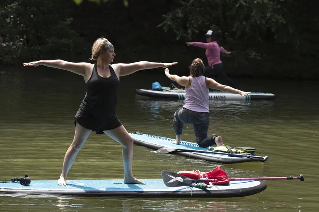 An instructor teaches Stand Up Paddleboard yoga (SUP) in a quiet cove on Lake Allatoona in Georgia, US on July 12, 2020. (Photo by Robin Rayne/ZUMA Wire/Rex Features/Shutterstock)