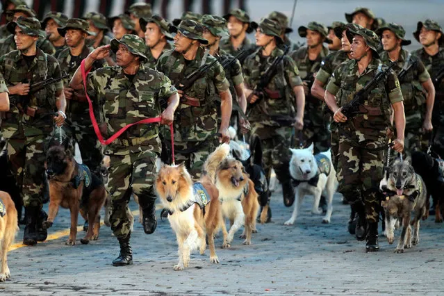Members of the Nicaraguan Army march with military dogs during a military parade commemorating the 37th anniversary of the founding of the army, in Managua, Nicaragua September 3, 2016. (Photo by Oswaldo Rivas/Reuters)