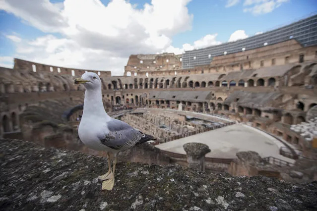 A view of the Colosseum, in Rome, Saturday, March 7, 2020. With the coronavirus emergency deepening in Europe, Italy, a focal point in the contagion, risks falling back into recession as foreign tourists are spooked from visiting its cultural treasures and the global market shrinks for prized artisanal products, from fashion to design. (Photo by Andrew Medichini/AP Photo)