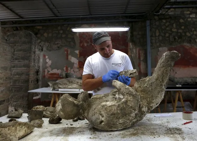 A restorer works to piece together fragments of bodies that have come away from plaster cast moulds of the victims of the Mount Vesuvius eruption in A.D. 79, which buried Pompeiii, October 13, 2015. (Photo by Alessandro Bianchi/Reuters)