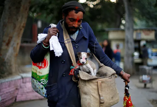 A man carries a puppy tied to his shoulder bag along a road in New Delhi, India, February 5, 2018. (Photo by Adnan Abidi/Reuters)