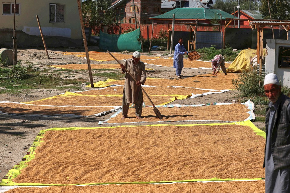 A Look at Life in India