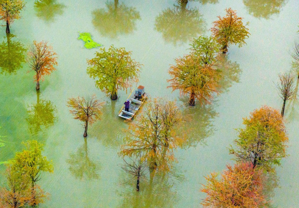 A Look at Life in China