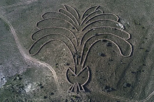 An aerial photograph shows Australian sculpture Andrew Rogers land art work вЂњSustanceвЂќ a date palm motif, in Cappadocia region, Kayseri, Turkey on April 20, 2018. The land art project which is called вЂњRhythms of LifeвЂќ is the largest contemporary land art undertaking in the world. The 48 massive stone sculptures has created in 13 countries and 7 continents around the world. вЂњRhythms of LifeвЂќ in Turkey is located in Cappadocia, near the World Heritage-listed rock formations and cave dwellings. (Photo by Sercan Kucuksahin/Anadolu Agency/Getty Images)