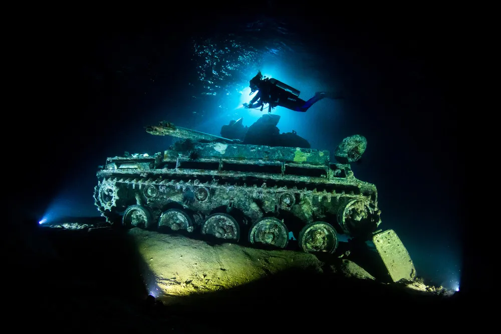 UK Underwater Photographer of the Year 2021 Winners
