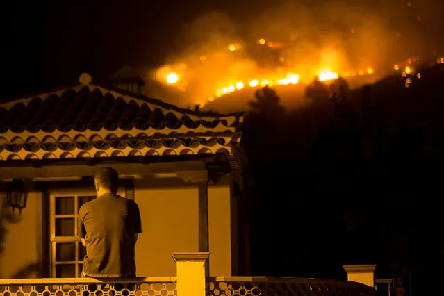 A man watches as a forest fire burns out of control in Las Manchas, on the southwestern part of La Palma island, Spain, early August 5, 2016. (Photo by Borja Suarez/Reuters)