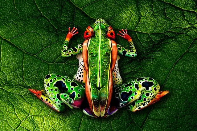 “Frog”. (Photo by Johannes Stötter)