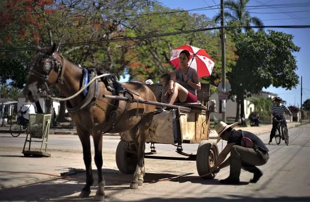 A man pumps the wheel of his horse-drawn carriage as his family waits in San Nicolas, Cuba, Friday, May 19, 2023. (Photo by Ramon Espinosa/AP Photo)