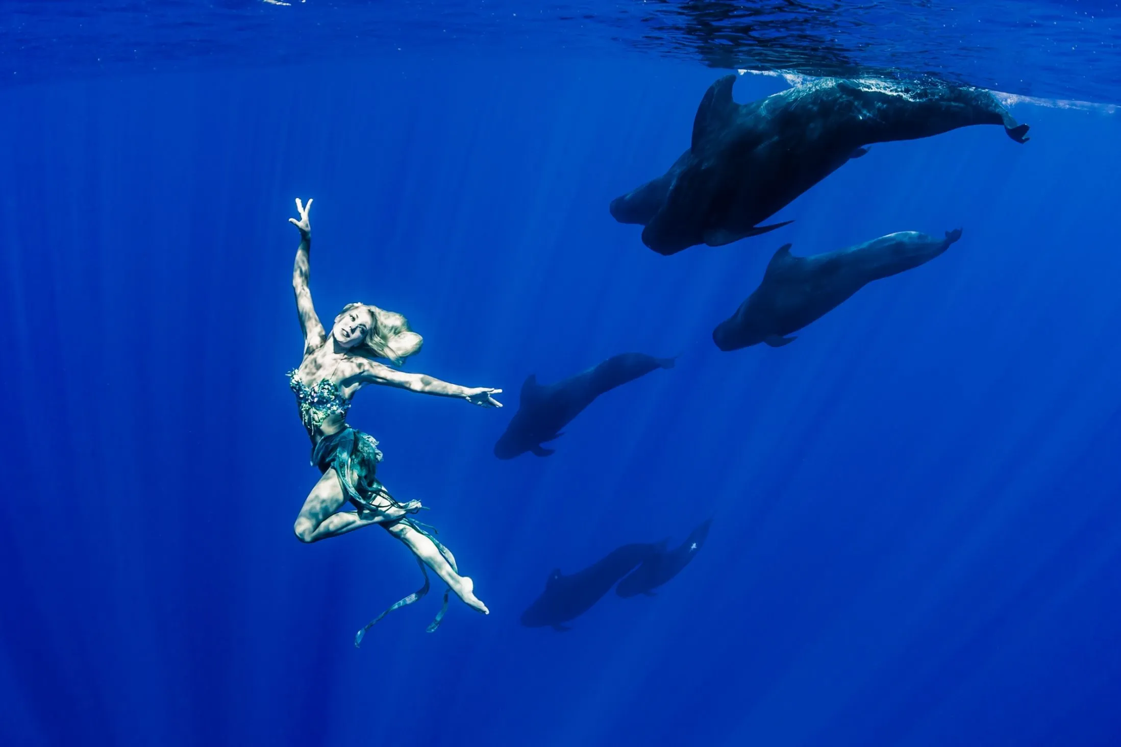 Мощность кита под водой. Ханна Фрейзер Underwater. Ханна Фрейзер Русалка. Подводная фотосессия. Плавать с китами.