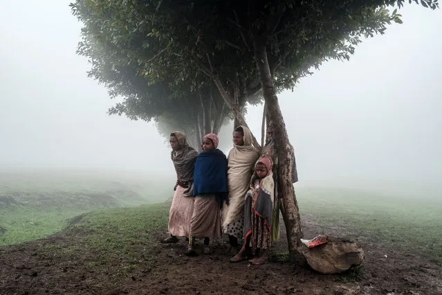 Children stand under a tree on the site of a future camp for Eritrean refugees, in a rural area near the village of Dabat, 70 kilometres northeast from the city of Gondar, Ethiopia, on July 13, 2021. (Photo by Eduardo Soteras/AFP Photo)