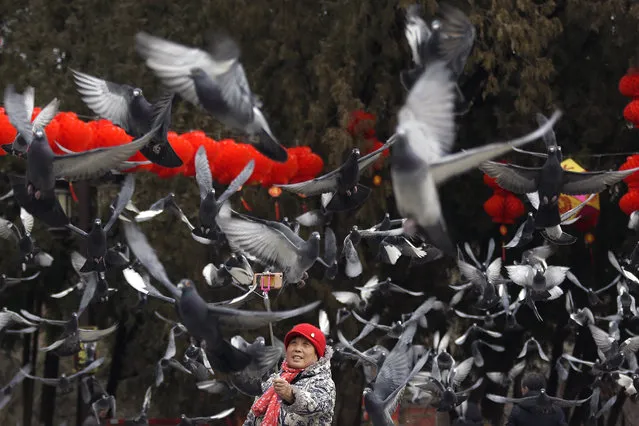 In this Wednesday, January 30, 2019, file photo, a woman takes a selfie with pigeons flying over her at Ditan Park decorated with red lanterns ahead of the Chinese Lunar New Year in Beijing. Chinese will celebrate Lunar New Year on Feb. 5 this year which marks the Year of the Pig on the Chinese zodiac. (Photo by Andy Wong/AP Photo)