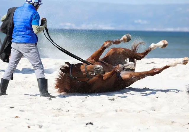 A horse rolls in sand during a parade at Muizenberg beach, in Cape Town, South Africa on January 5, 2024. (Photo by Esa Alexander/Reuters)