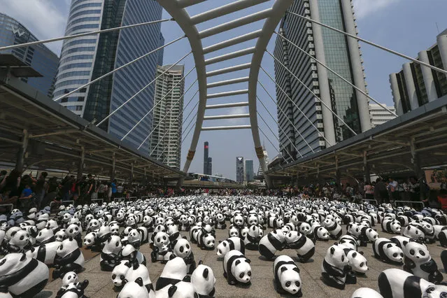 Panda sculptures are seen at the Chong Nonsi bridge during an exhibition by French artist Paulo Grangeon in Bangkok, Thailand, March 8, 2016. (Photo by Athit Perawongmetha/Reuters)