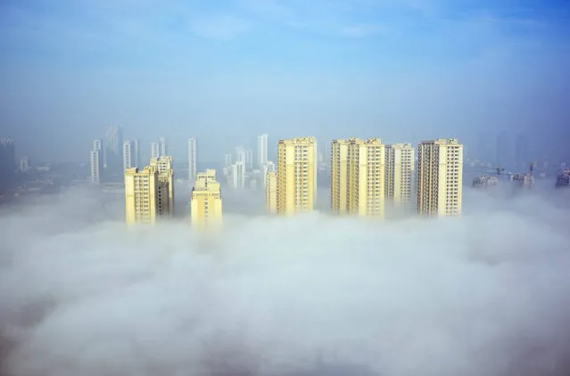 Advection fog shrouds the buildings on March 15, 2016 in Rizhao, Shandong Province of China. (Photo by ChinaFotoPress/ChinaFotoPress via Getty Images)