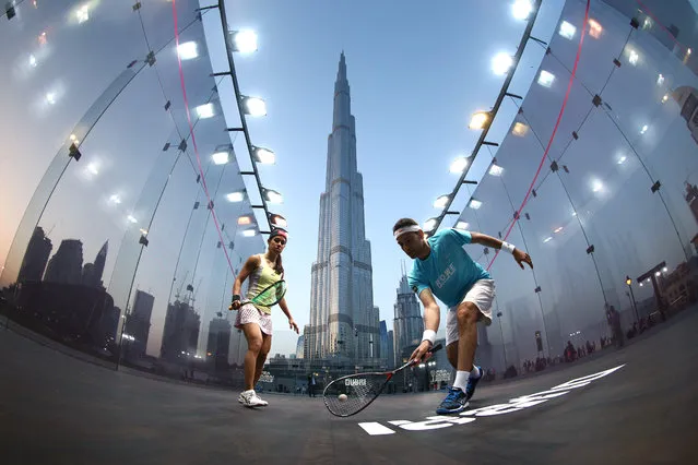 Squash world number one Mohamed Elshorbagy of Egypt took on eight time world champion Nicol David of Malaysia in an exhibition match after the announcement that Burj Park Downtown Dubai will be the venue for the PSA Dubai World Series Finals on May 24-28, pictured on April 10, 2016 in Dubai, United Arab Emirates. (Photo by Warren Little/Getty Images)