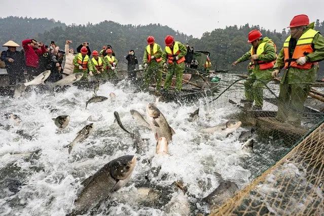 Fishermen net fish at Fairy Lake on January 8, 2022 in Xinyu, Jiangxi Province of China. (Photo by Zhao Chunliang/VCG via Getty Images)