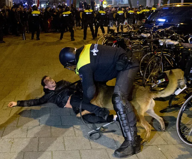 A Dutch riot policeman tries to get his dog to let go of a man after riots broke out during a pro Erdogan demonstration at the Turkish consulate in Rotterdam, Netherlands, Sunday, March 12, 2017. Turkish Foreign Minister Mevlut Cavusoglu was due to visit Rotterdam on Saturday to campaign for a referendum next month on constitutional reforms in Turkey. The Dutch government says that it withdrew the permission for Cavusoglu's plane to land because of “risks to public order and security”. (Photo by Peter Dejong/AP Photo)