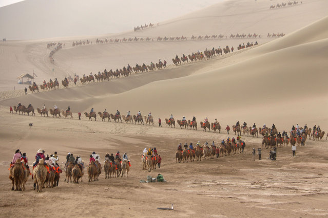 Tourists riding camels visit Mingsha Mountain And Crescent Spring scenic spot during the May Day holiday on May 3, 2024 in Dunhuang, Jiuquan City, Gansu Province of China. (Photo by Zhang Xiaoliang/VCG via Getty Images)