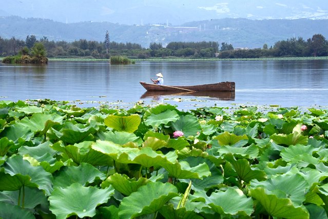 A man rows a boat at the Qionghai National Tourism Resort in Xichang, in China's southwestern Sichuan province on June 23, 2024. (Photo by Adek Berry/AFP Photo)