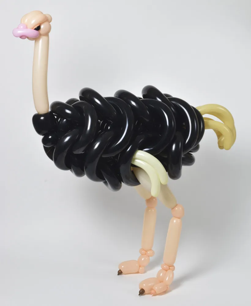 Animal Balloons by Masayoshi Matsumoto