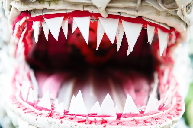 The big smile of Chompers the Tiger Shark welcomes visitors to the National Zoo in Washington, DC on May 23, 2016. (Photo by Keith Lane/The Washington Post)