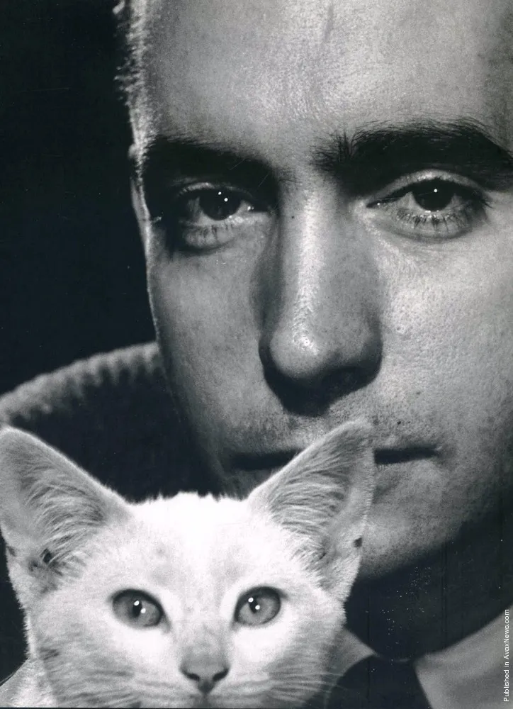 Photographers: Philippe Halsman. Part III