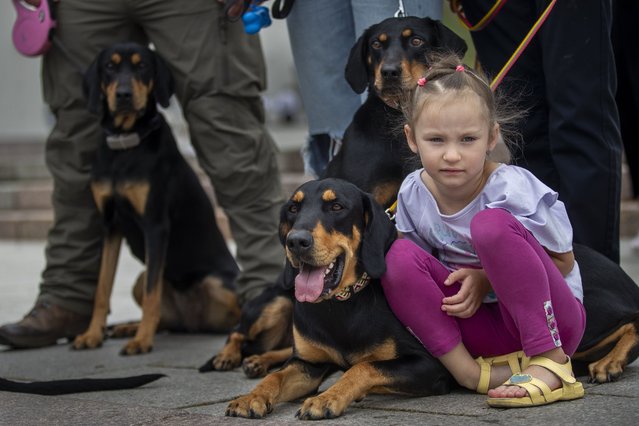 A girl with her family and hunting dogs attends in the traditional Nations' Fair in Vilnius, Lithuania, Sunday, September 15, 2024. (Photo by Mindaugas Kulbis/AP Photo)