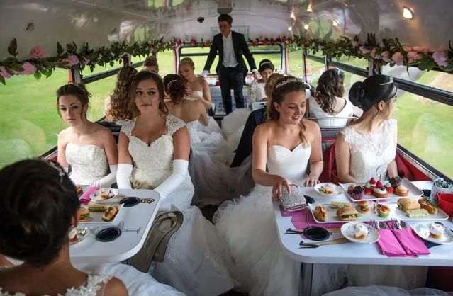 Debutantes sit at tables laid with cakes and sandwiches on the top deck of a Routemaster bus before leaving Boughton Monchelsea Place for the Queen Charlotte's Ball on September 9, 2017 in Maidstone, England. (Photo by Jack Taylor/Getty Images)