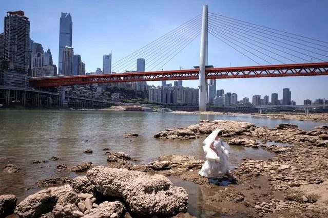 A woman in a wedding dress walks on the dried-up riverbed of the Jialing river, a tributary of the Yangtze, that is approaching record-low water levels in Chongqing, China on August 18, 2022. (Photo by Thomas Peter/Reuters)