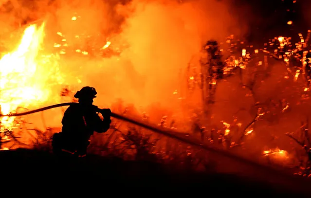 Firefighters battle the so-called Sand Fire in the Angeles National Forest near Los Angeles, California, U.S. July 24, 2016. (Photo by Gene Blevins/Reuters)